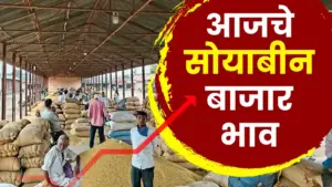 आजचे सोयाबीन बाजार भाव पहा राज्यात किती मिळतोय दर