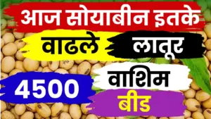 सोयाबीन बाजारात ४५०० चा आधार कायम: जळकोट, देवणीने तारले, पण ‘बिजवाई’च्या दरांनी पुन्हा संभ्रम!