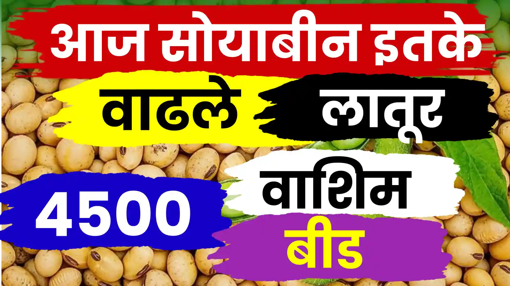 सोयाबीन बाजारात ४५०० चा आधार कायम